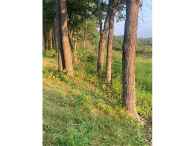 Lake Acreage For Sale in Pine River Twp, Minnesota