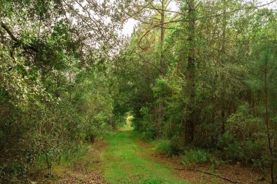 (private lake, pond, creek) Acreage For Sale in Chiefland Florida