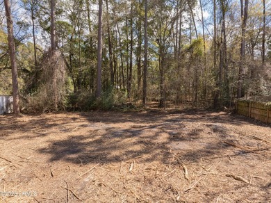 Here's your chance to purchase the last vacant residential - photo 4
