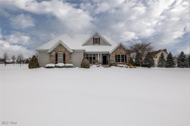 Lake Home For Sale in Medina, Ohio