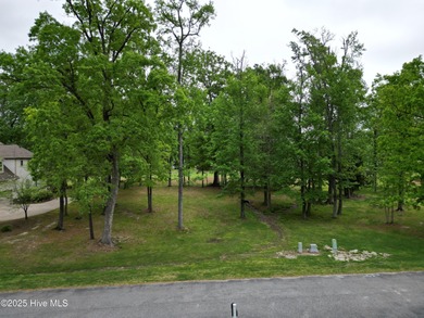 Beautiful, level, golf course, .29 acre lot ready for your new - photo 3