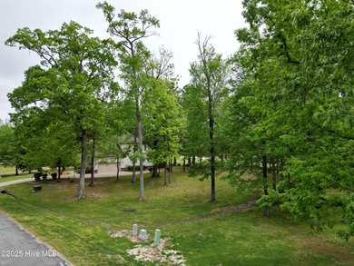 Beautiful, level, golf course, .29 acre lot ready for your new - photo 5