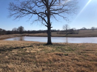 Lake Acreage Off Market in Unincorporated, Tennessee