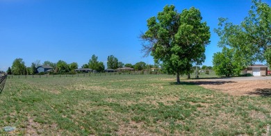 Brick ranch-style home on approximately 2 acres in Mead with - photo 42