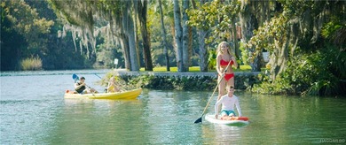 Beautiful Pool Home in Rainbow Springs Country Club Nestled in - photo 45