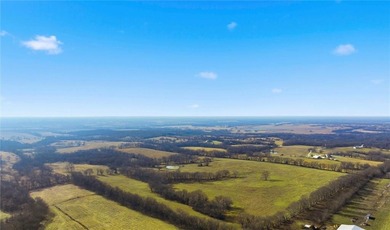 (private lake, pond, coastal) Acreage For Sale in Garden City Missouri