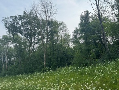 Lake Acreage For Sale in Prior Lake, Minnesota