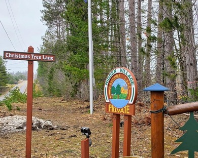 Seller's are motivated Welcome to your lakeside retreat on - photo 34