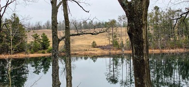 Seller's are motivated Welcome to your lakeside retreat on - photo 35