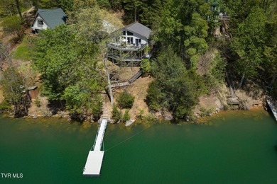 No HOA Watauga Lakefront cabin with private dock, deep-water - photo 2