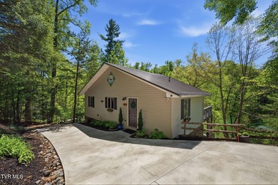No HOA Watauga Lakefront cabin with private dock, deep-water - photo 4