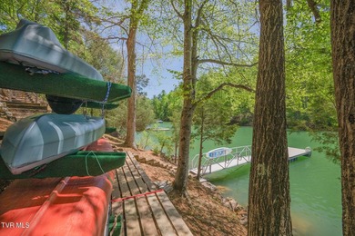 No HOA Watauga Lakefront cabin with private dock, deep-water - photo 6