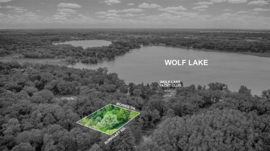 Big Wolf Lake Lot For Sale in Jackson Michigan