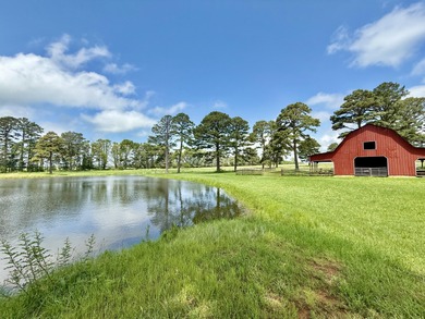 (private lake, pond, creek) Home For Sale in Raymondville Missouri