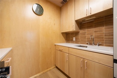 Discover serene riverfront living in this completely renovated - photo 11