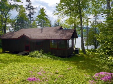 Lake Home For Sale in Sandy River Plt, Maine