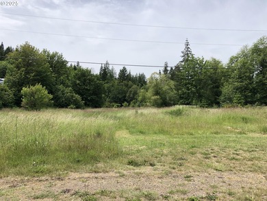Nehalem River Lot For Sale in Vernonia Oregon