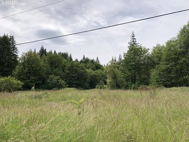 Explore this scenic 10.43-acre property along Bear Creek - photo 2