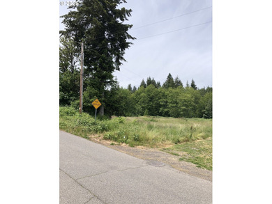 Explore this scenic 10.43-acre property along Bear Creek - photo 3