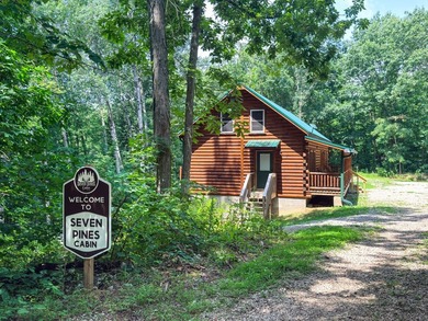 Welcome to the ultimate fully furnished cabin retreat in the - photo 1