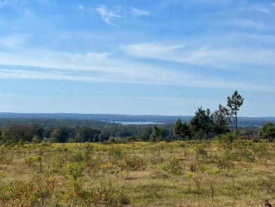 Lake Eufaula / Walter F. George Home For Sale in Georgetown Georgia