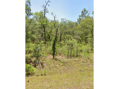 Bonable Lake Lot For Sale in Dunnellon Florida