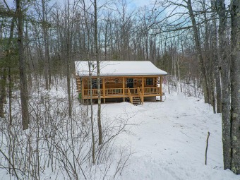 Tippecanoe Lake Year-Round Cabin - Lake Home For Sale in Lac DU Flambeau, Wisconsin