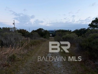 There are not very many commercial lots in Fort Morgan, but this - photo 6