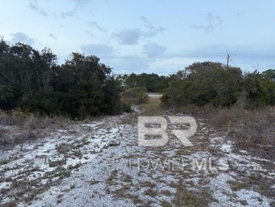 There are not very many commercial lots in Fort Morgan, but this - photo 8