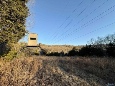 Discover this incredible hunting and recreational tract on Sand - photo 11