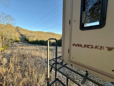 Discover this incredible hunting and recreational tract on Sand - photo 13