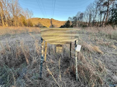 Discover this incredible hunting and recreational tract on Sand - photo 15