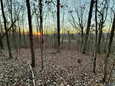 Discover this incredible hunting and recreational tract on Sand - photo 18