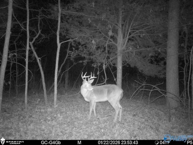Discover this incredible hunting and recreational tract on Sand - photo 19