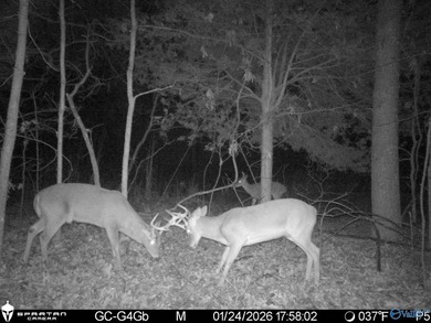 Discover this incredible hunting and recreational tract on Sand - photo 21