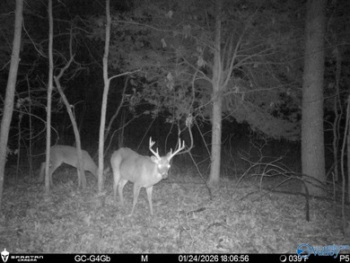 Discover this incredible hunting and recreational tract on Sand - photo 22