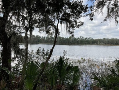 Lake Lot For Sale in Ocklawaha, Florida