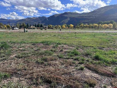 Monique Flora, The Wells Group of Durango, LLC, C: , monique,  :