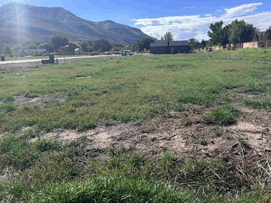 Monique Flora, The Wells Group of Durango, LLC, C: , monique,  :