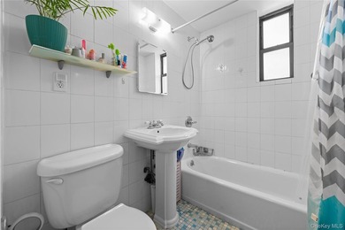 Welcome to this bright and spacious 1-bedroom co-op located in - photo 8
