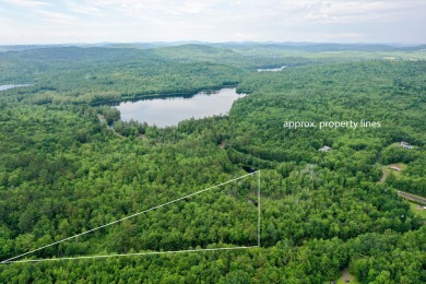 (private lake, pond, creek) Acreage For Sale in Waldo Maine