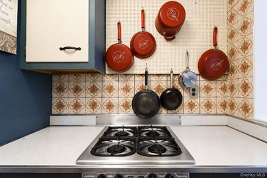 A rare chance to own in the heart of Flushing is here! This two - photo 11