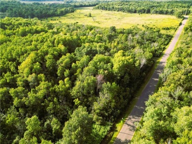 Lake Acreage For Sale in Birchwood, Wisconsin