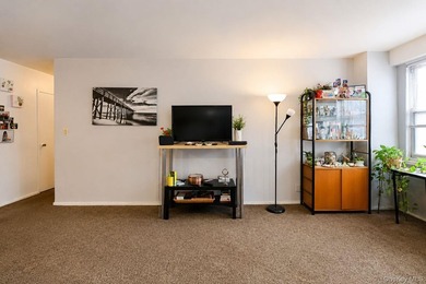 A rare chance to own in the heart of Flushing is here! This two - photo 19