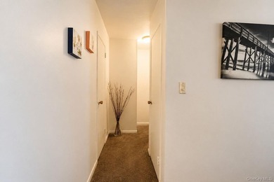 A rare chance to own in the heart of Flushing is here! This two - photo 20
