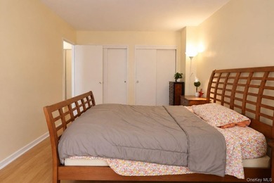 A rare chance to own in the heart of Flushing is here! This two - photo 23