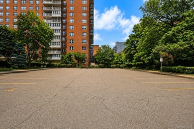 A rare chance to own in the heart of Flushing is here! This two - photo 31