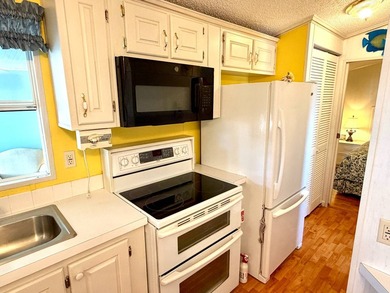 Welcome to this well-maintained 1996 Skyline single-wide home - photo 14