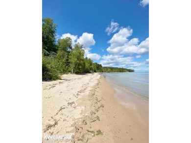 Lake Huron - Sanilac County Lot For Sale in Palms Michigan