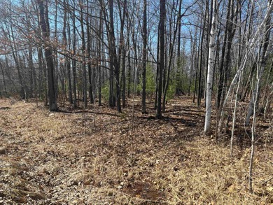 Secord Lake - Gladwin County Lot For Sale in Gladwin Michigan